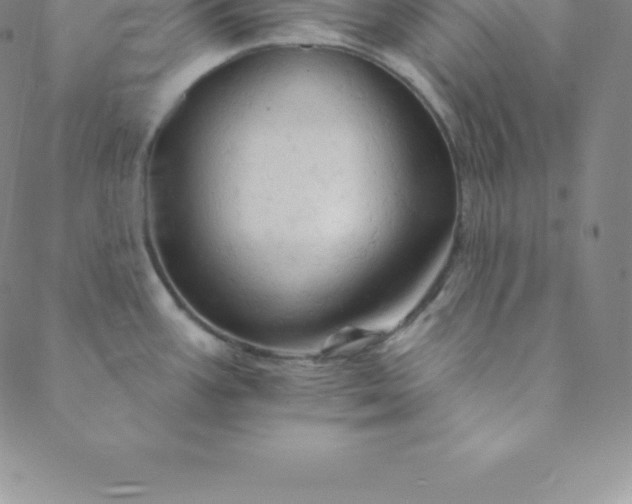 X0000088651387200706081627