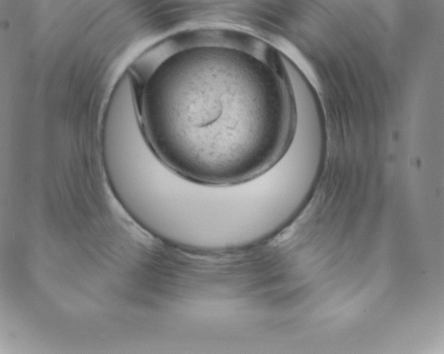 X0000088651388200706081627