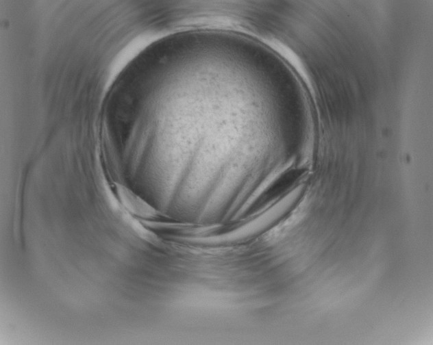 X0000088651389200706081626