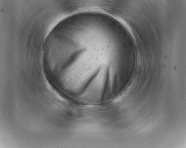 X0000088651390200706081626