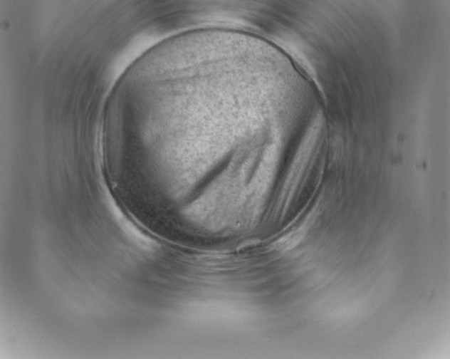 X0000088651391200706081626