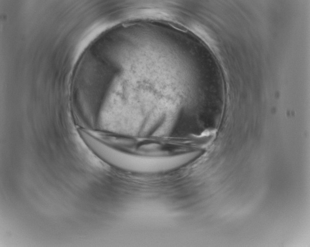 X0000088651392200706081626