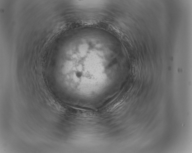 X0000088651393200706081626