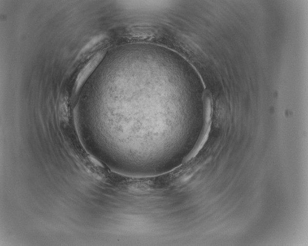 X0000088651394200706081626