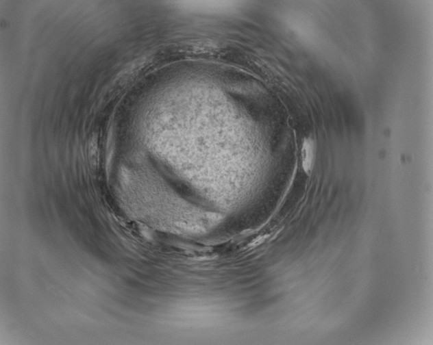 X0000088651395200706081626