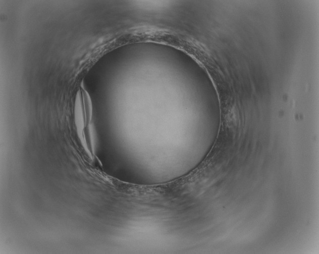 X0000088651397200706081626