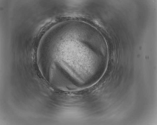 X0000088651398200706081626