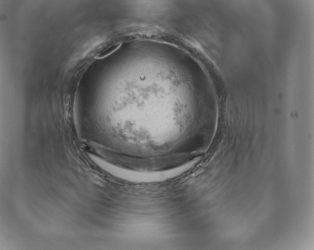 X0000088651399200706081626