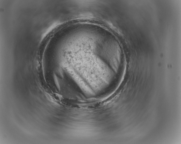 X0000088651400200706081626