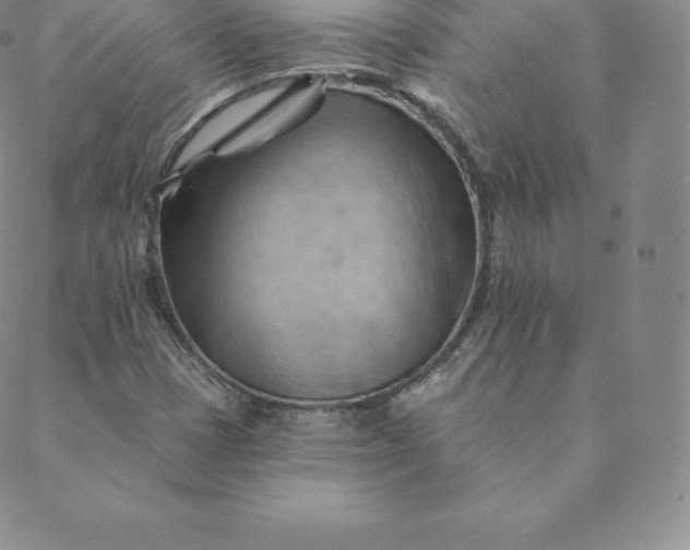 X0000088651401200706081626