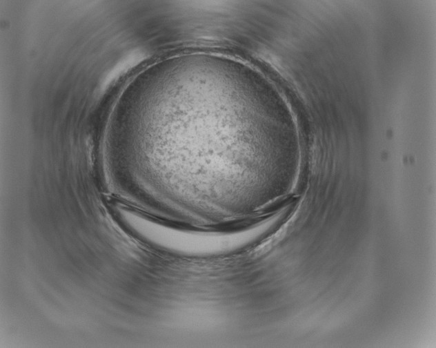 X0000088651402200706081626