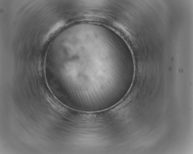 X0000088651403200706081626