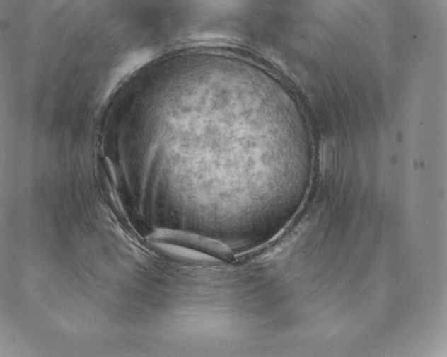 X0000088651405200706081626