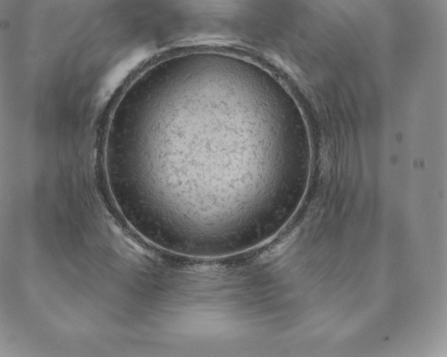 X0000088651406200706081626