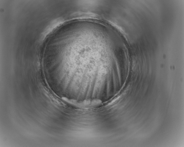 X0000088651407200706081626