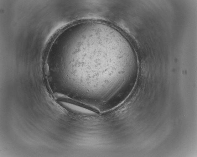 X0000088651408200706081626