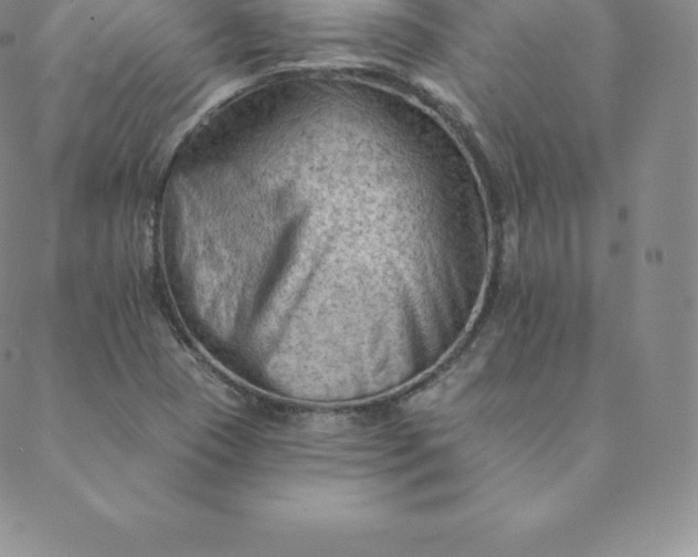 X0000088651409200706081626