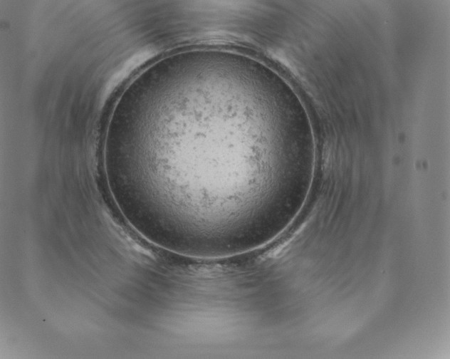 X0000088651410200706081626