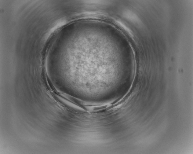 X0000088651411200706081626