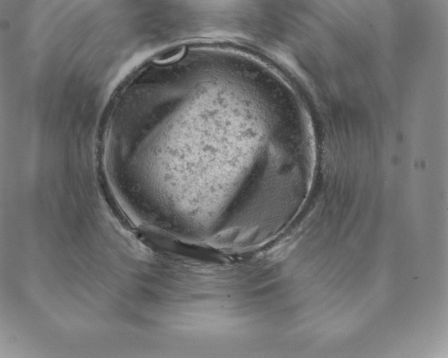 X0000088651412200706081626