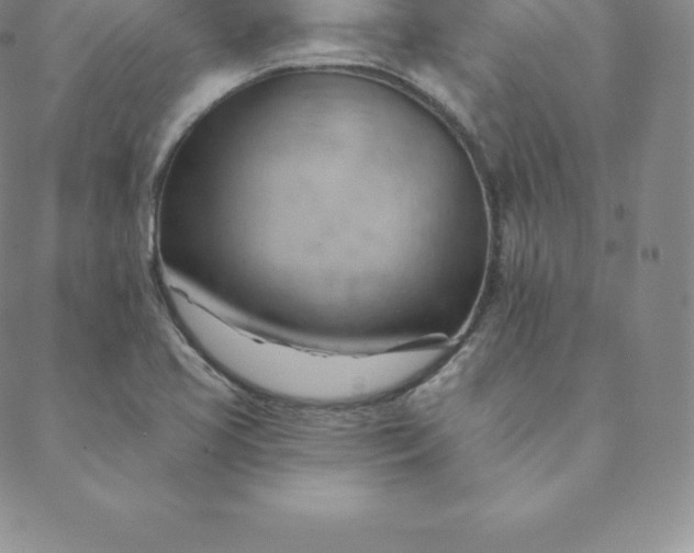 X0000088651413200706081626