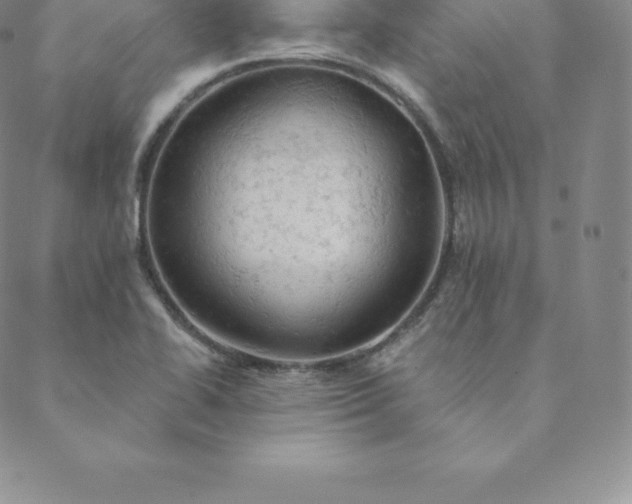 X0000088651414200706081626