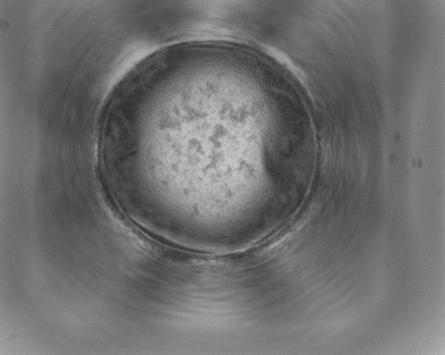 X0000088651415200706081626