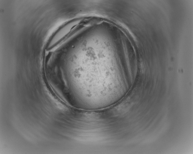 X0000088651416200706081626