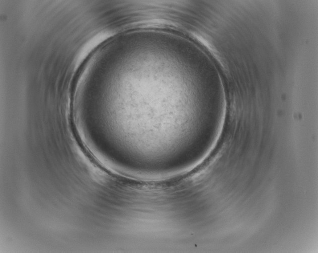 X0000088651418200706081626