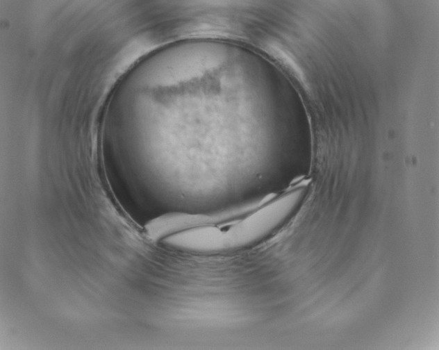 X0000088651419200706081626