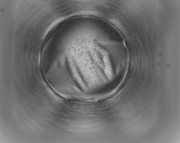 X0000088651420200706081626