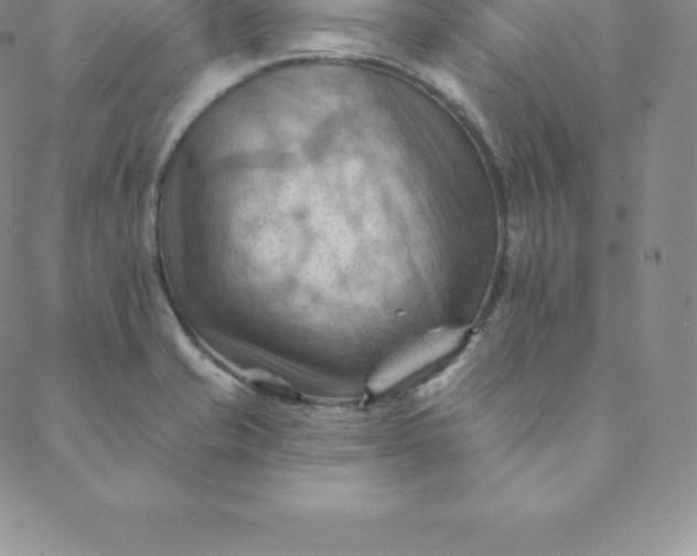 X0000088651421200706081626