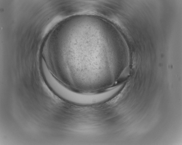 X0000088651422200706081626