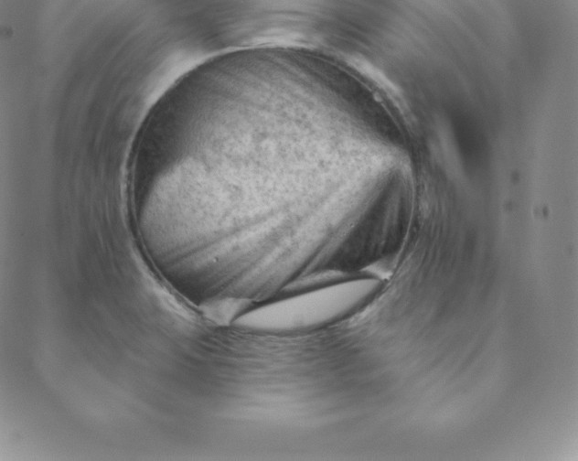 X0000088651423200706081626