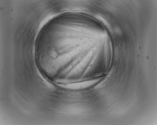 X0000088651424200706081626