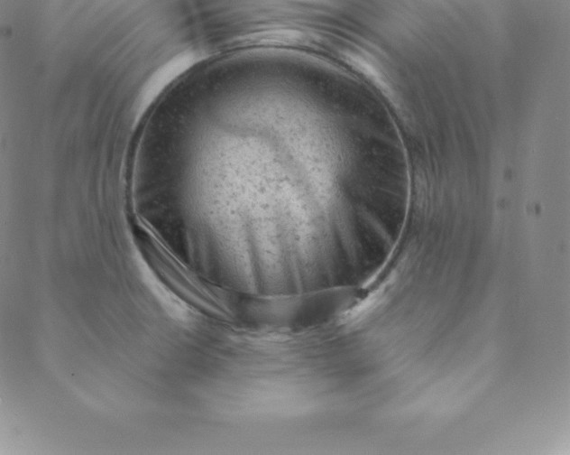 X0000088651426200706081626