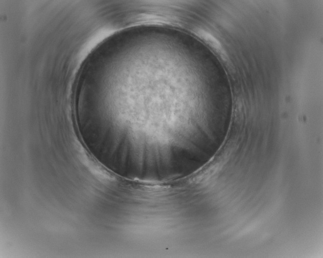 X0000088651427200706081626