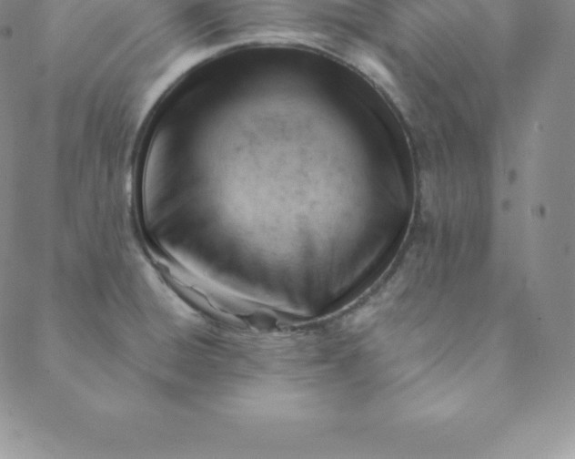 X0000088651428200706081626