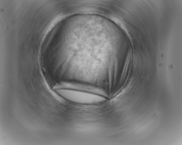 X0000088651429200706081626