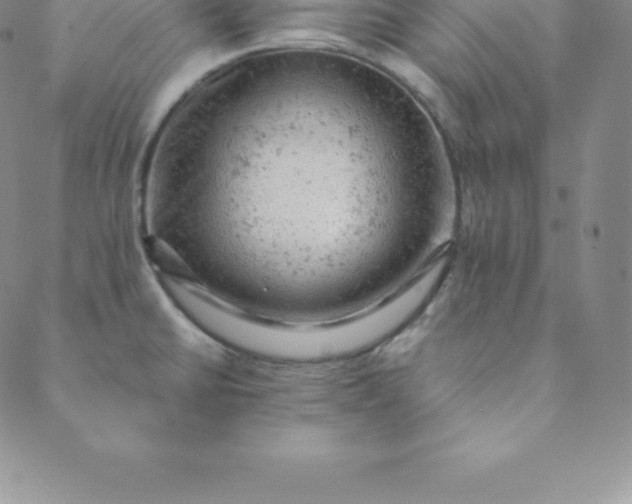 X0000088651430200706081626