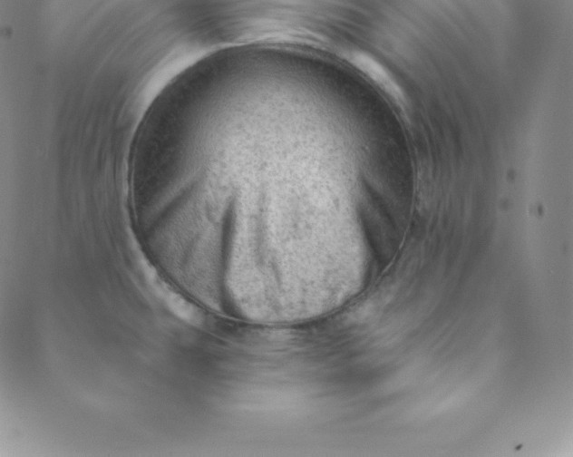 X0000088651431200706081626