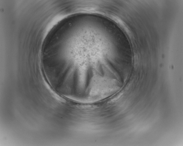 X0000088651432200706081626