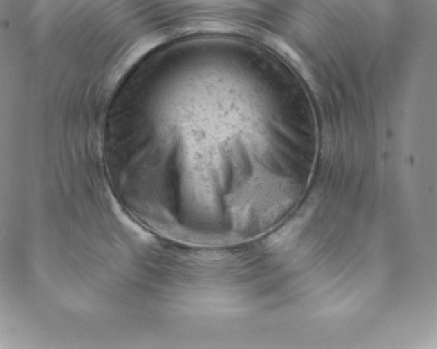 X0000088651433200706081626