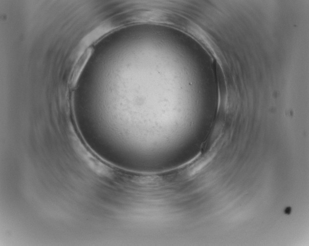 X0000088651434200706081626