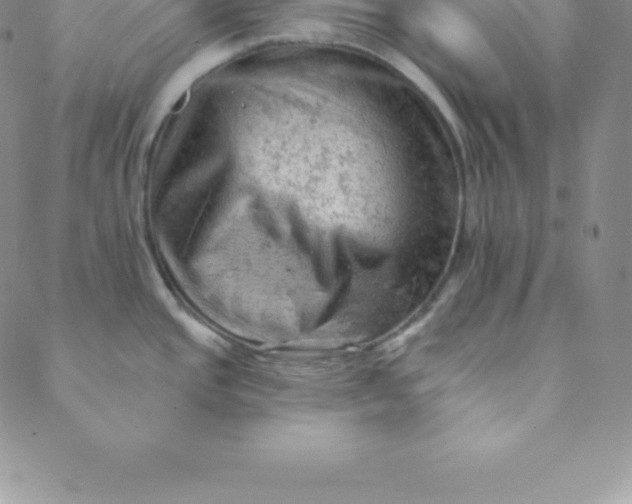 X0000088651437200706081626