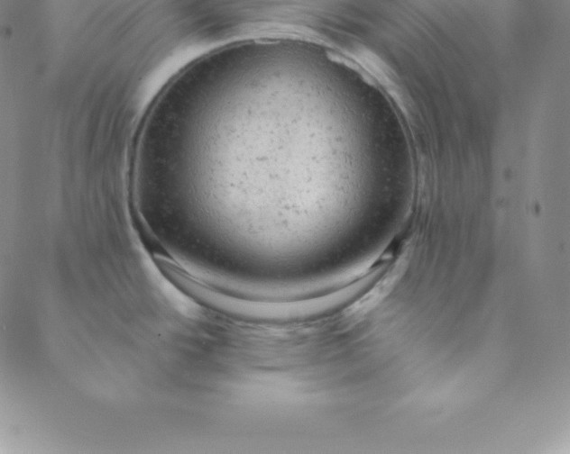 X0000088651438200706081626