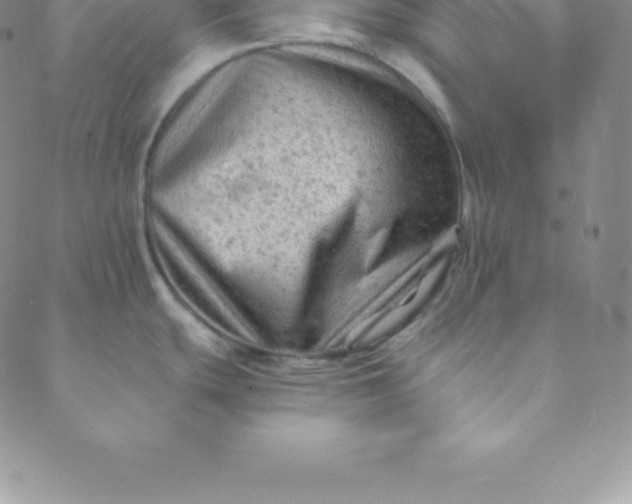 X0000088651439200706081626