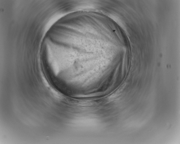 X0000088651440200706081626