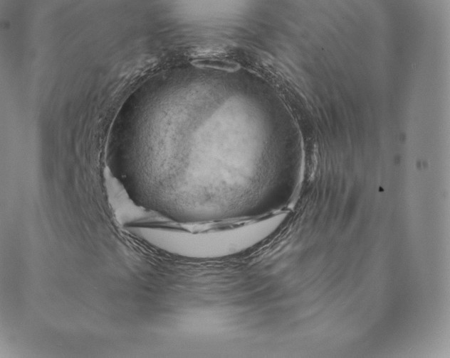 X0000088651441200706081626