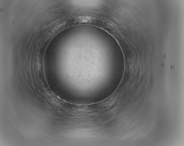 X0000088651442200706081626